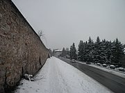 P1090069.JPG