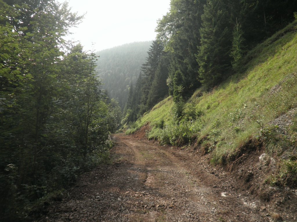 P9050010.JPG