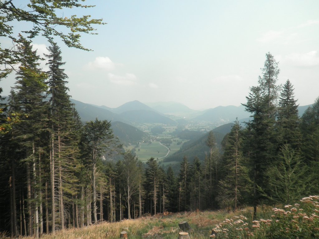 P9050011.JPG