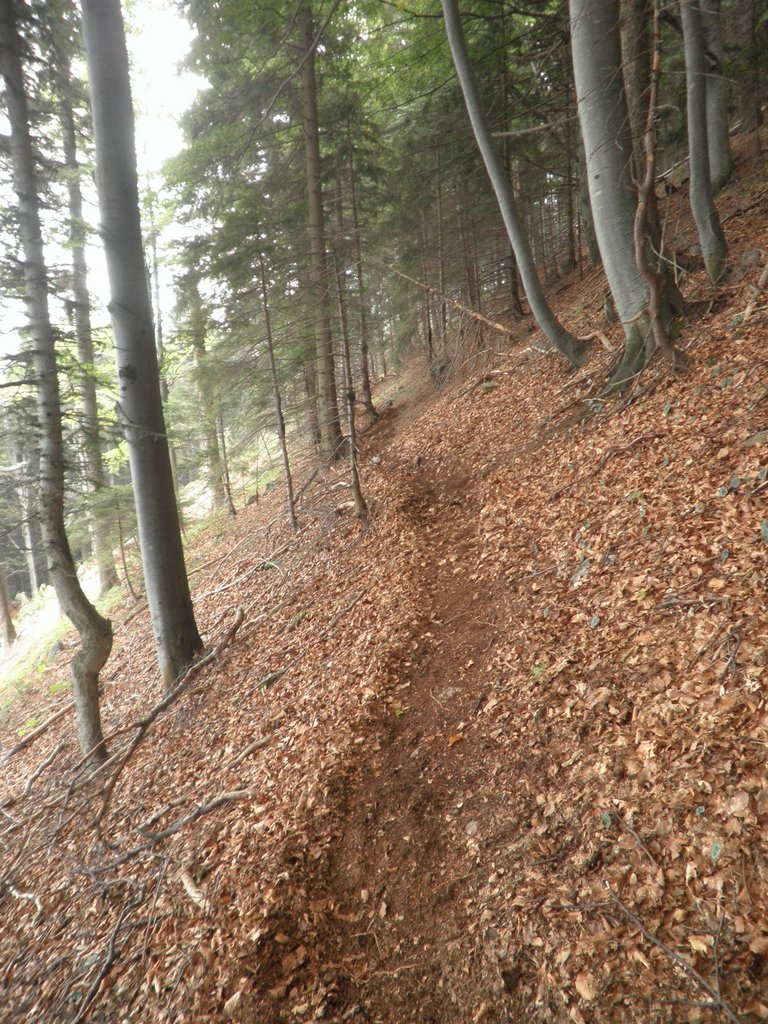 P9050014.JPG