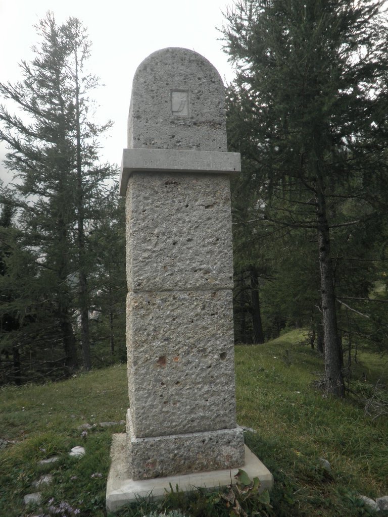 P9050031.JPG