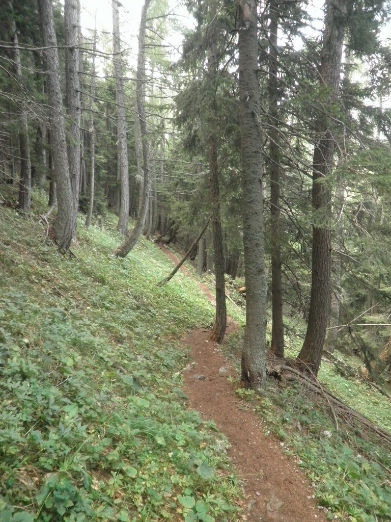 P9050041.JPG