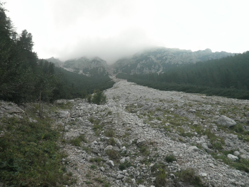 P9050046.JPG