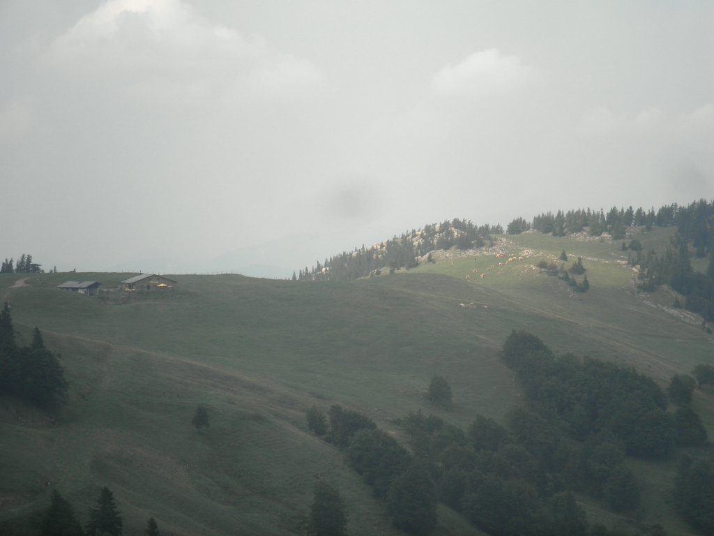 P9050047.JPG