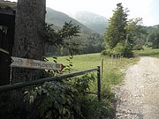 P9050007.JPG