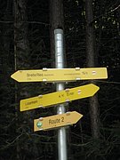 P9050009.JPG