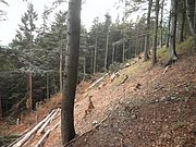 P9050013.JPG