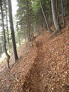 P9050014.JPG
