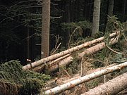 P9050015.JPG