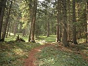 P9050018.JPG