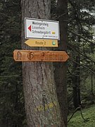 P9050020.JPG