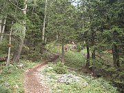 P9050021.JPG