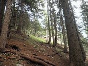 P9050023.JPG