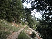 P9050030.JPG