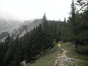 P9050038.JPG