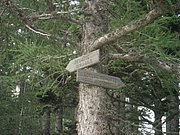 P9050039.JPG