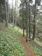 P9050041.JPG