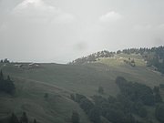 P9050047.JPG