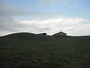 P9050055.JPG