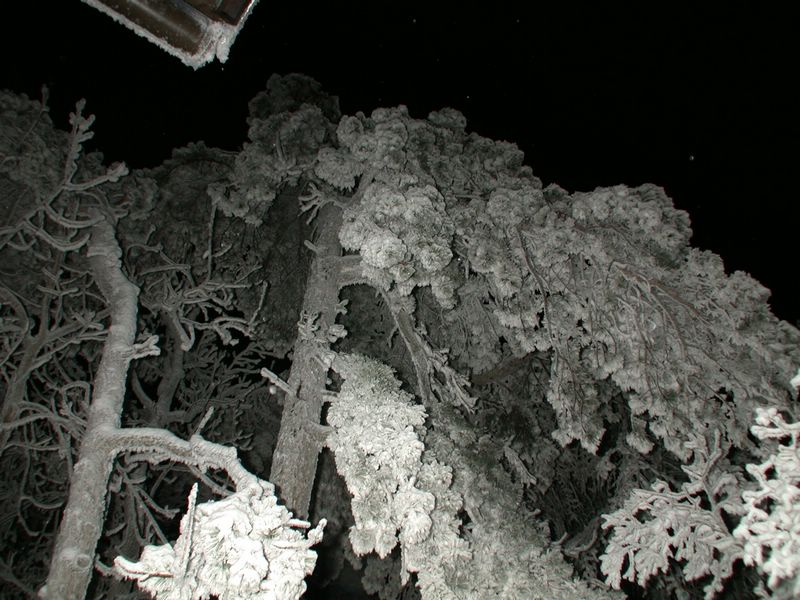 DSCN1206.JPG