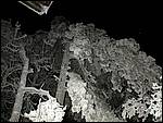 DSCN1206.JPG
