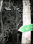 DSCN1211.JPG