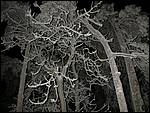 DSCN1212.JPG