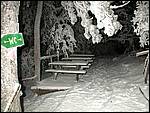 DSCN1215.JPG