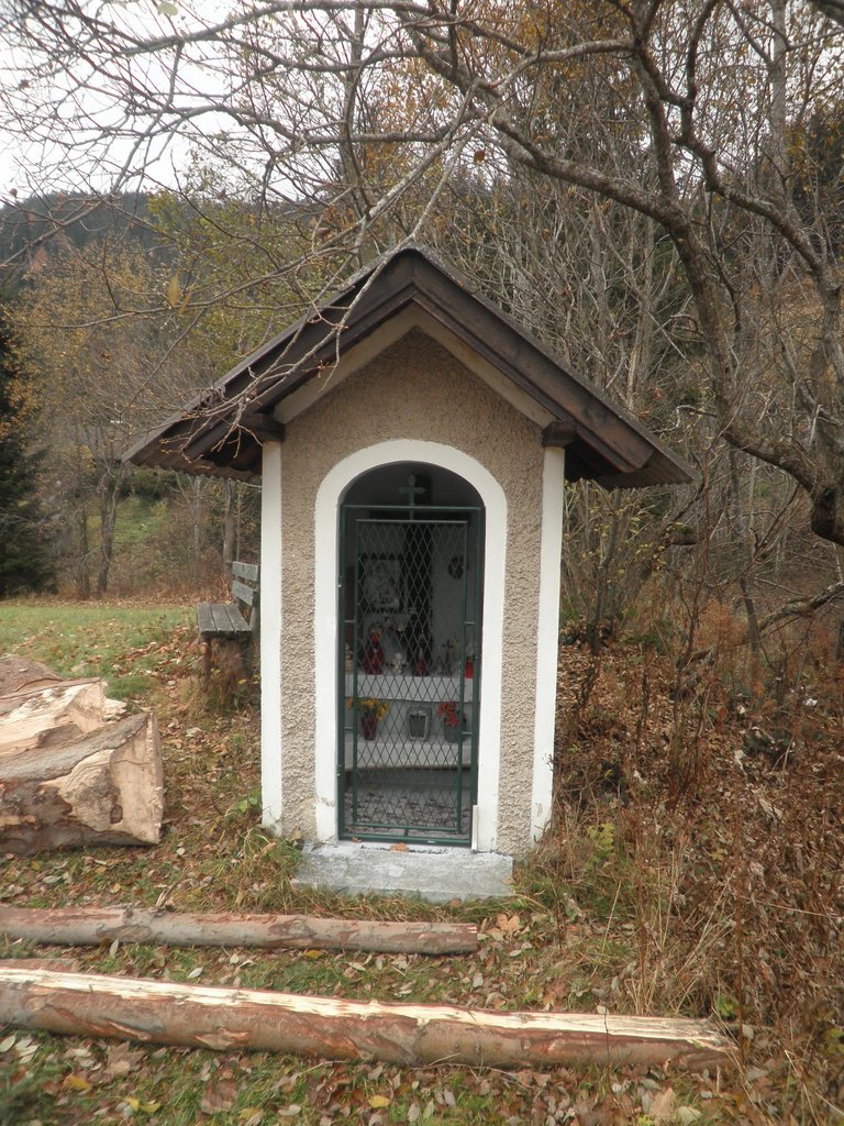 PB060004.JPG
