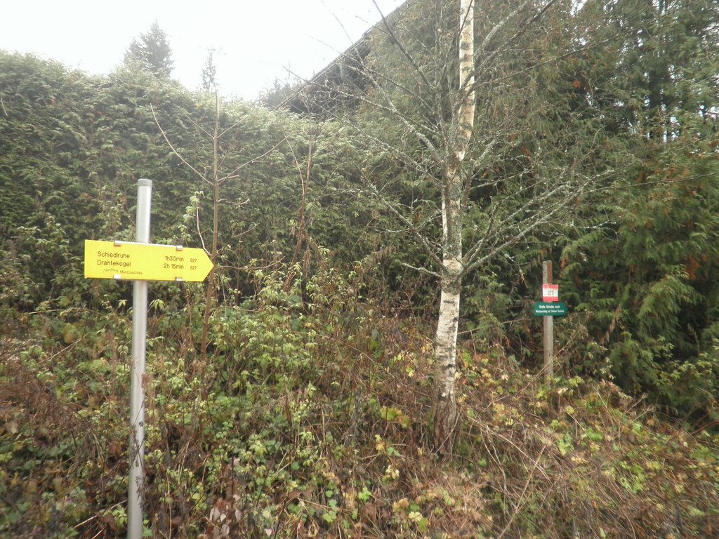 PB060007.JPG