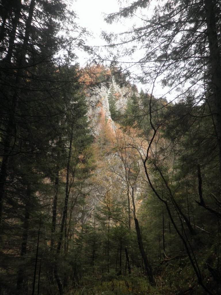 PB060009.JPG