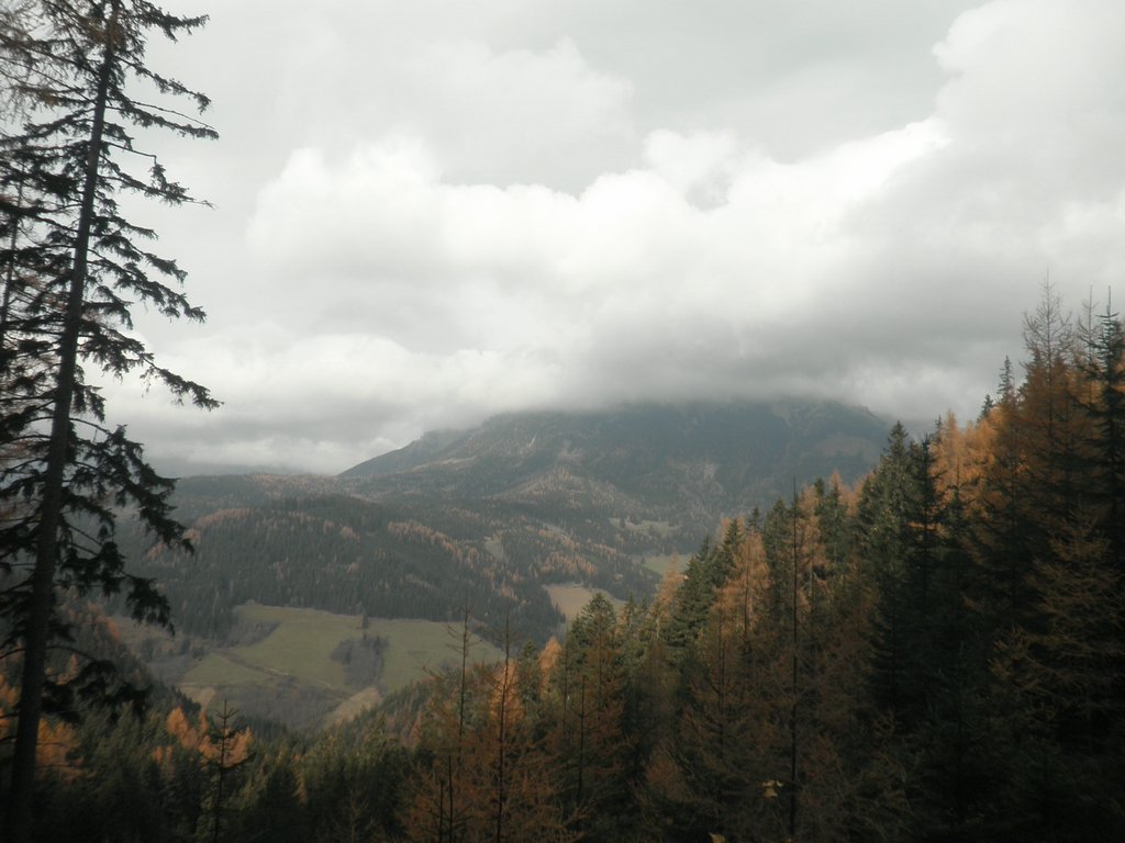 PB060012.JPG