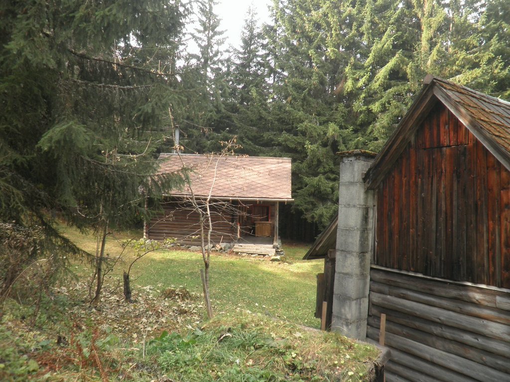 PB060015.JPG