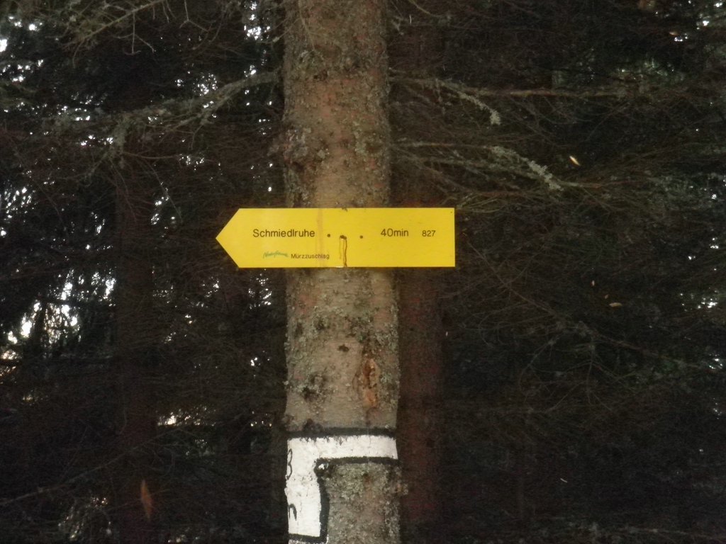 PB060016.JPG