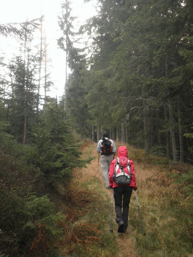 PB060018.JPG