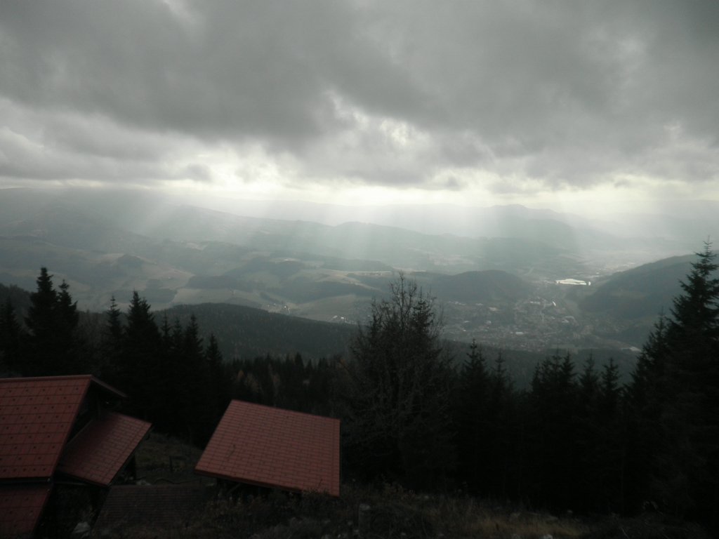 PB060029.JPG