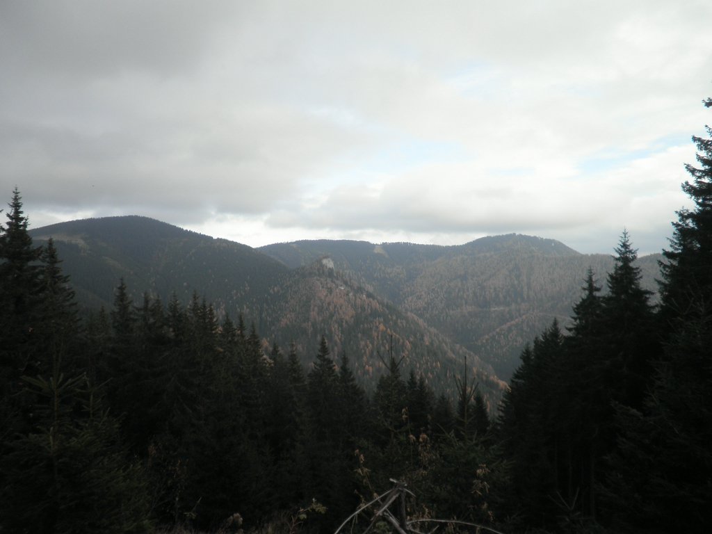 PB060036.JPG