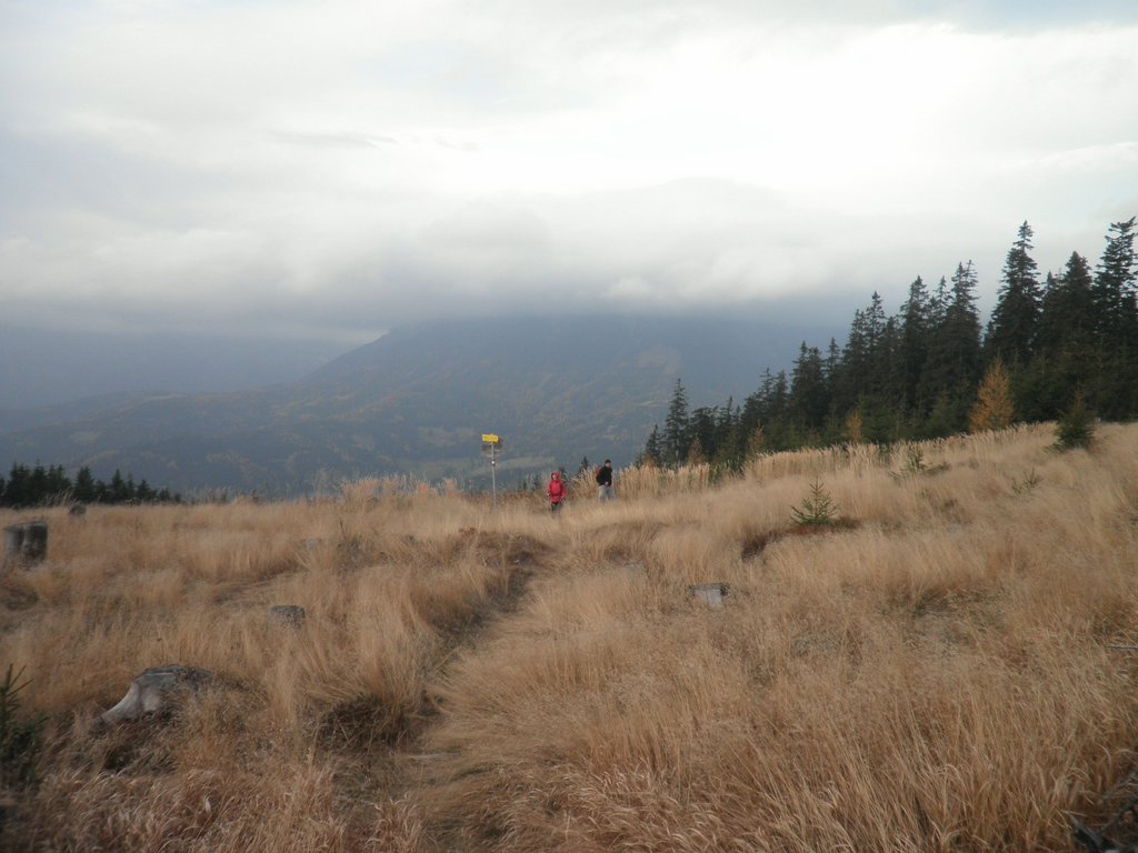 PB060044.JPG