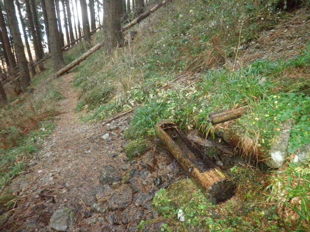 PB060047.JPG
