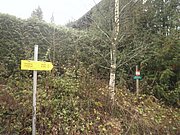 PB060007.JPG
