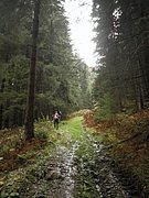 PB060010.JPG