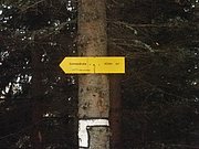 PB060016.JPG