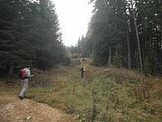 PB060017.JPG