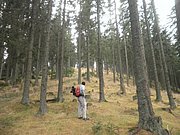 PB060025.JPG