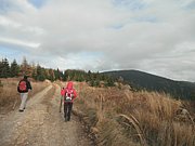 PB060039.JPG