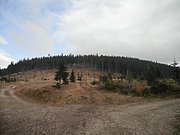 PB060040.JPG