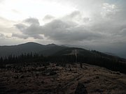 PB060042.JPG
