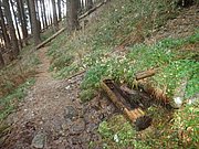 PB060047.JPG