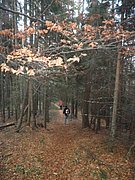 PB060049.JPG