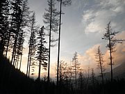 PB060051.JPG